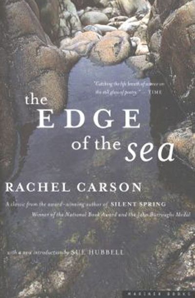 The-Edge-of-the-Sea The Edge of the Sea