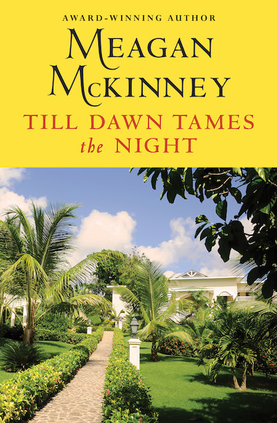 Till Dawn Tames the Night Buy Till Dawn Tames the Night at Amazon