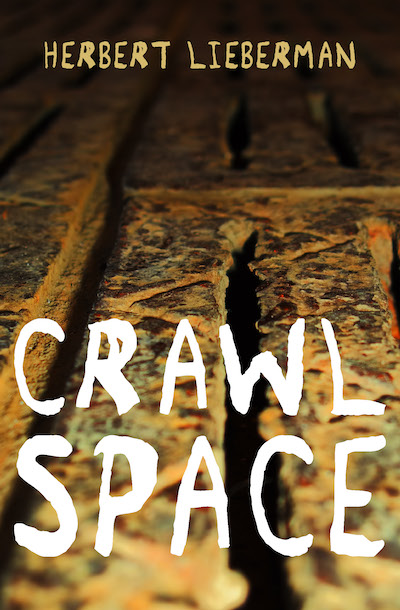 Crawlspace Buy Crawlspace at Amazon
