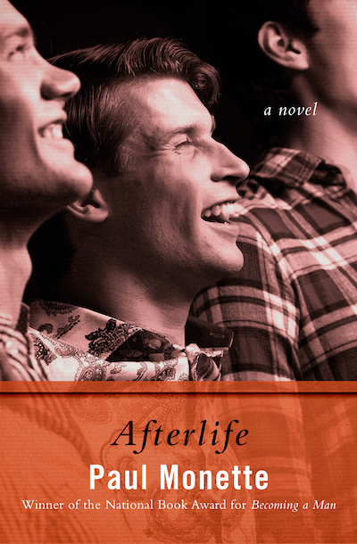 Afterlife Buy Afterlife at Amazon