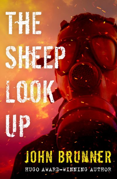 The-Sheep-Look-Up The Sheep Look Up
