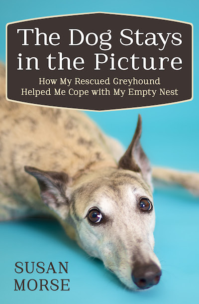 Buy The Dog Stays in the Picture at Amazon