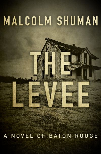 The-Levee The Levee