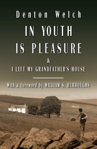 In Youth Is Pleasure Buy In Youth Is Pleasure at Amazon