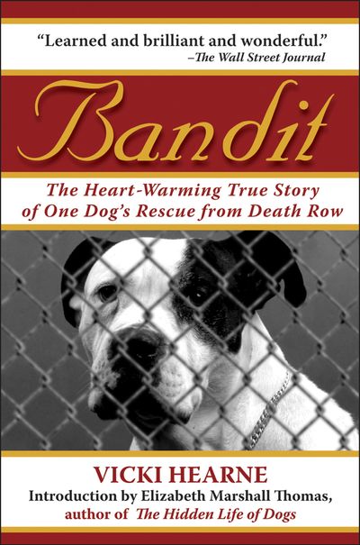 Bandit Bandit