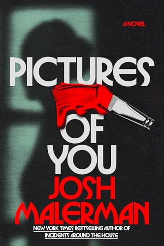 Pictures-of-You:-A-Novel Pictures of You: A Novel